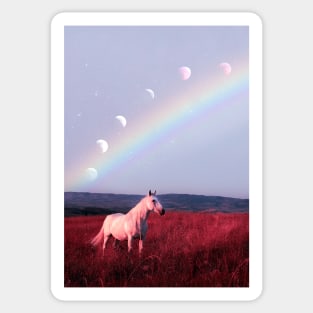 Rainbow Horse Sticker